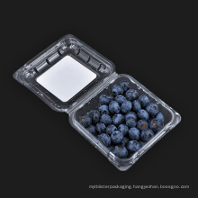 Packaging Disposable Plastic Fruit Container Fresh Fruit Box for Blueberry Transparent PET Environmentally Friendly EC 25g 0.8mm